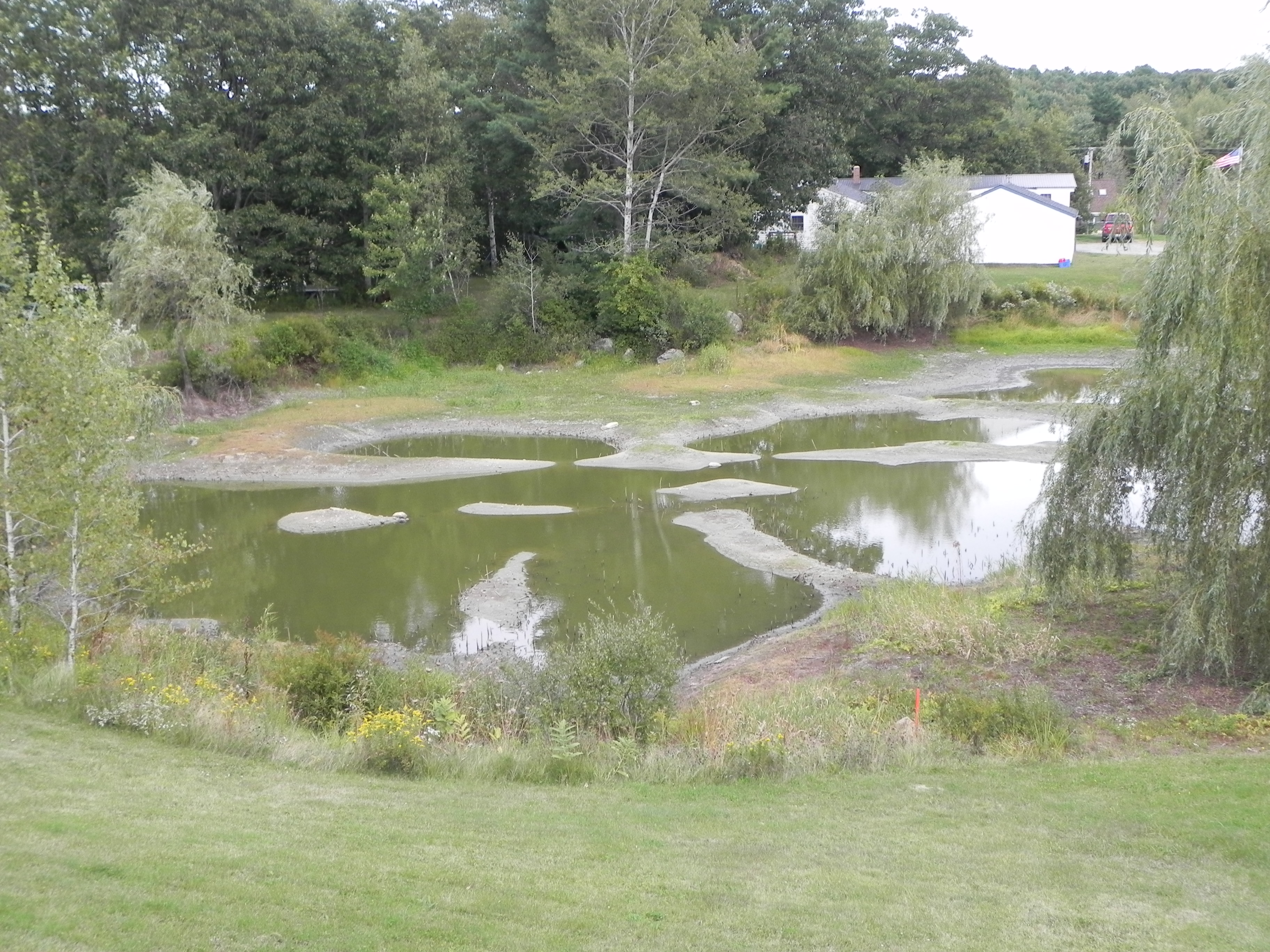 Pond-Drying Out