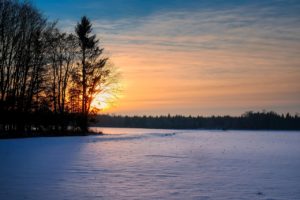 sunset, trees, snow