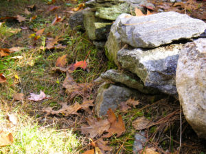 Rocks and leaves