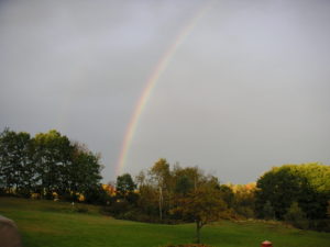 Rainbow Over Backyard